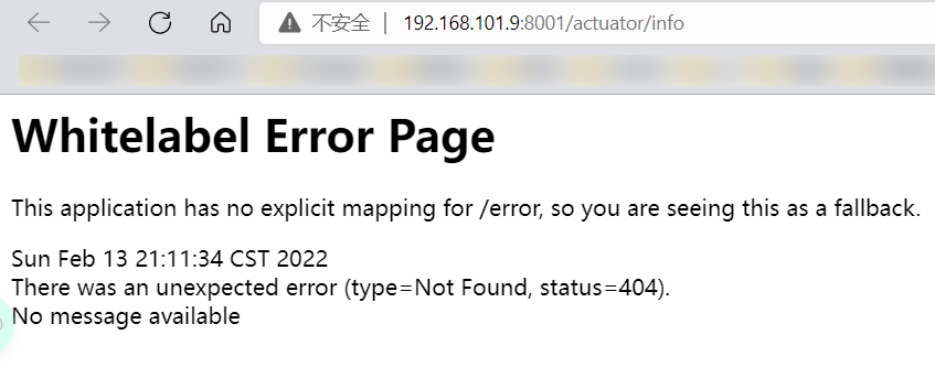 image-20220213211159537